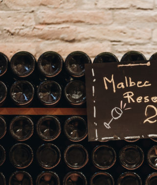 botellas ecologicas